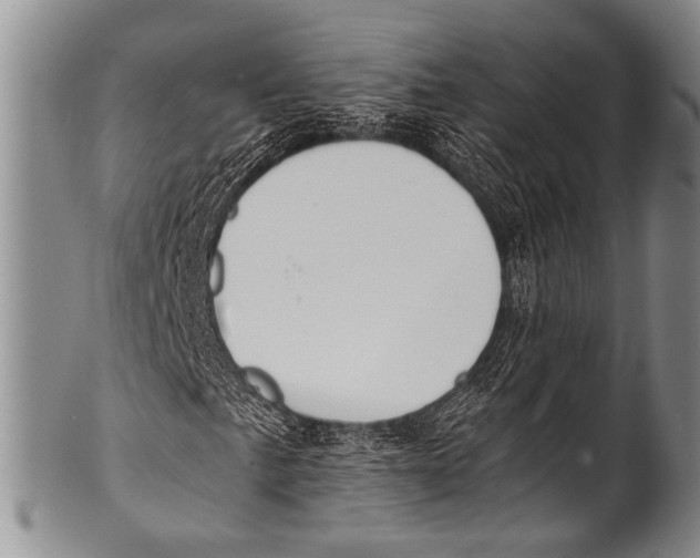 X0000100321057200806261221