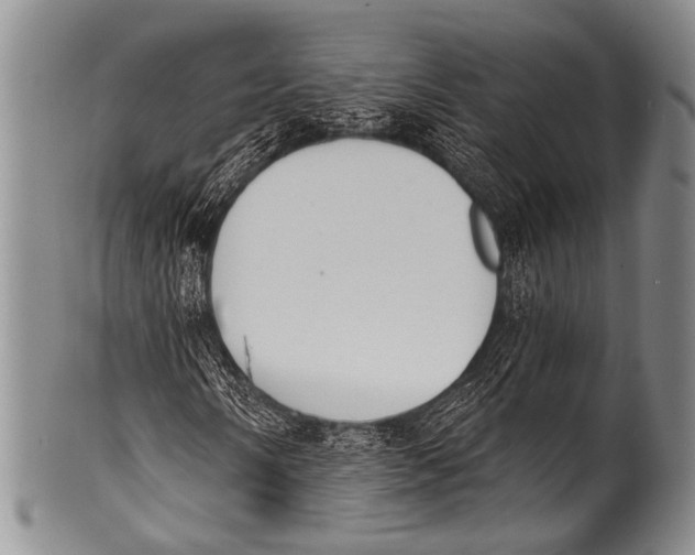 X0000100321058200806261221