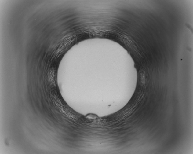 X0000100321060200806261221