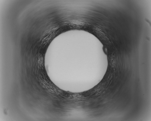 X0000100321061200806261221