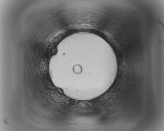 X0000100321063200806261221