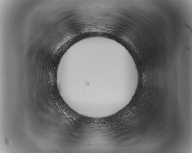 X0000100321064200806261221