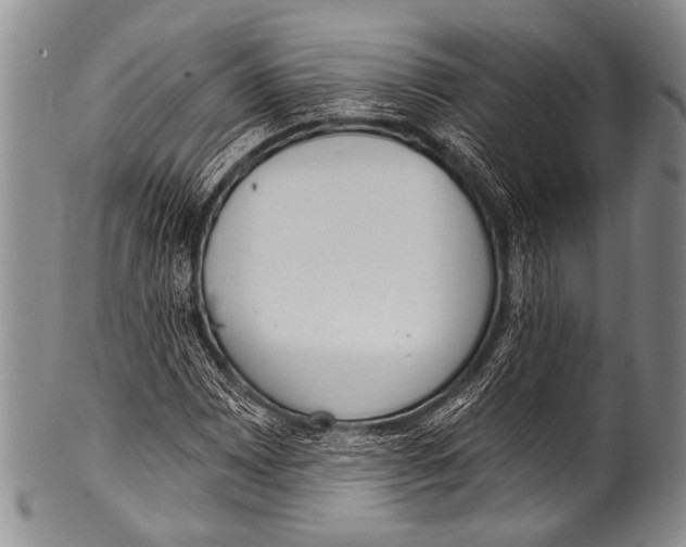 X0000100321065200806261221