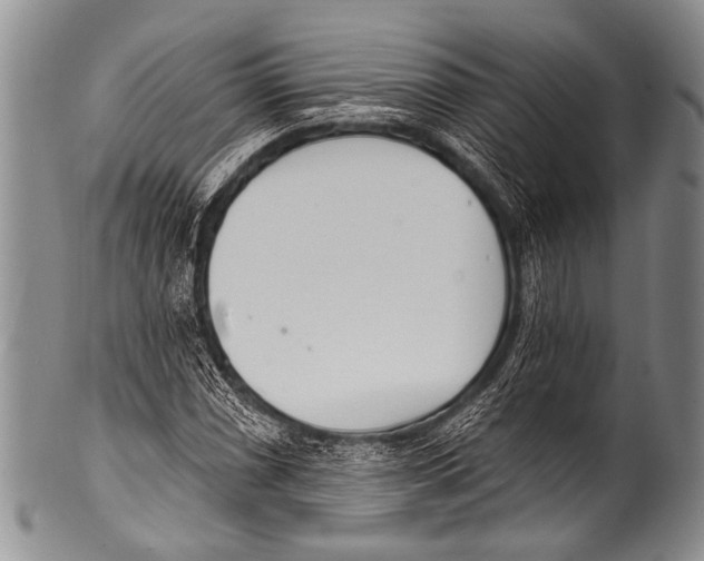 X0000100321066200806261221