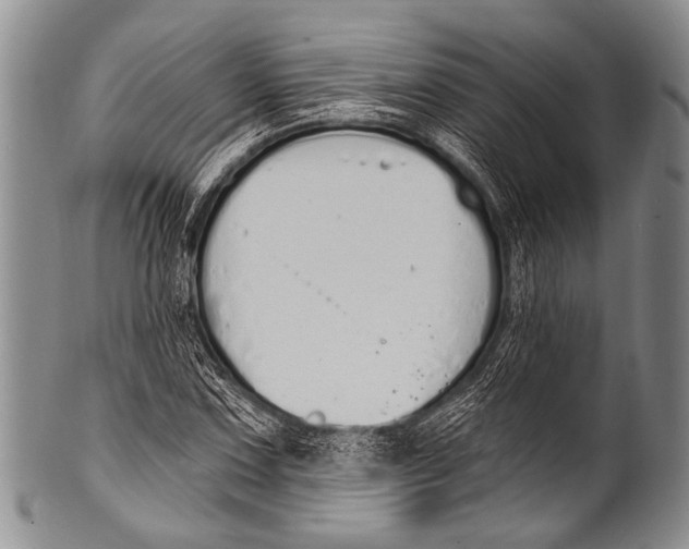 X0000100321067200806261221