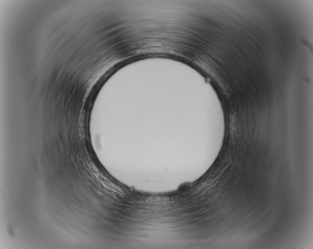 X0000100321068200806261221