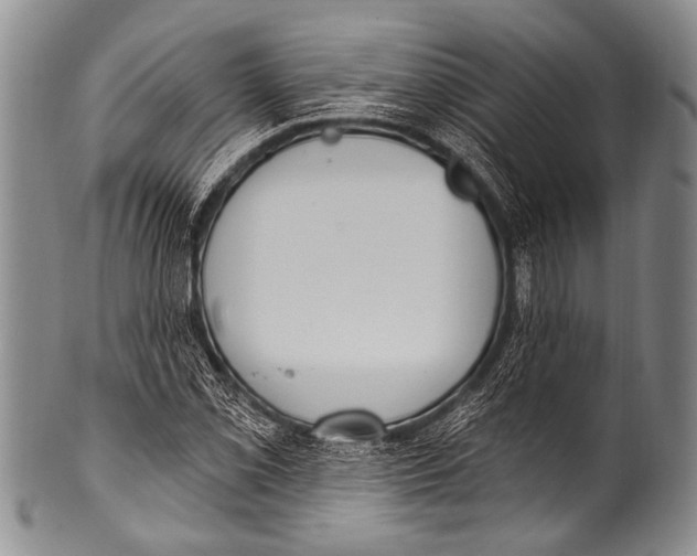 X0000100321069200806261221