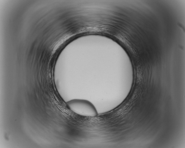 X0000100321070200806261221