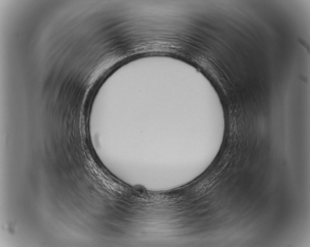 X0000100321072200806261221