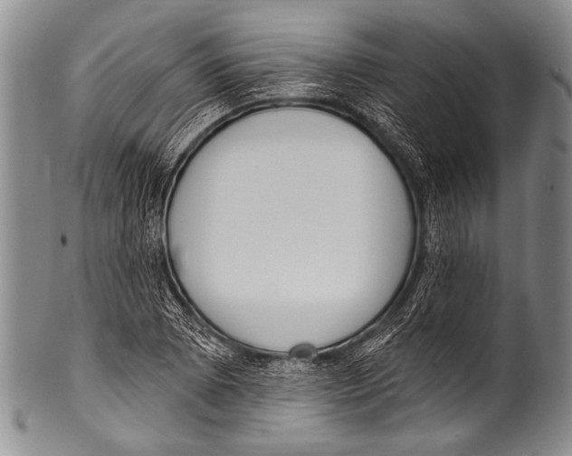 X0000100321073200806261221