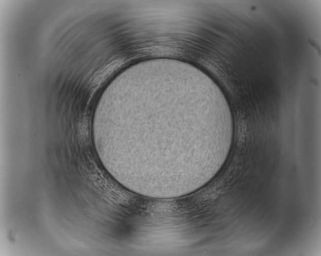 X0000100321074200806261221