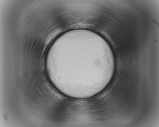 X0000100321075200806261221