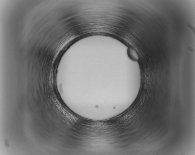 X0000100321076200806261221