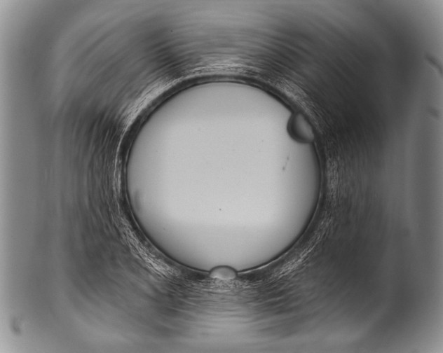 X0000100321077200806261221