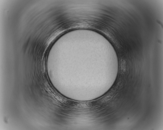 X0000100321078200806261221