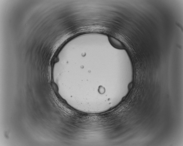 X0000100321079200806261221