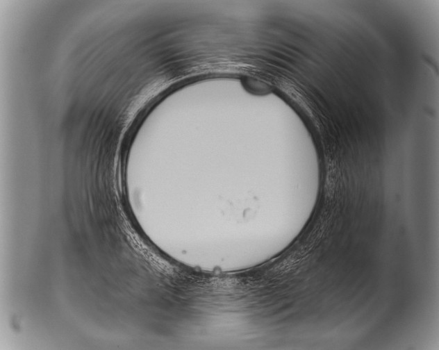 X0000100321080200806261221