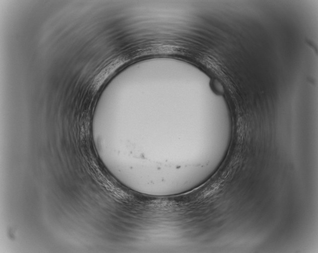 X0000100321081200806261221