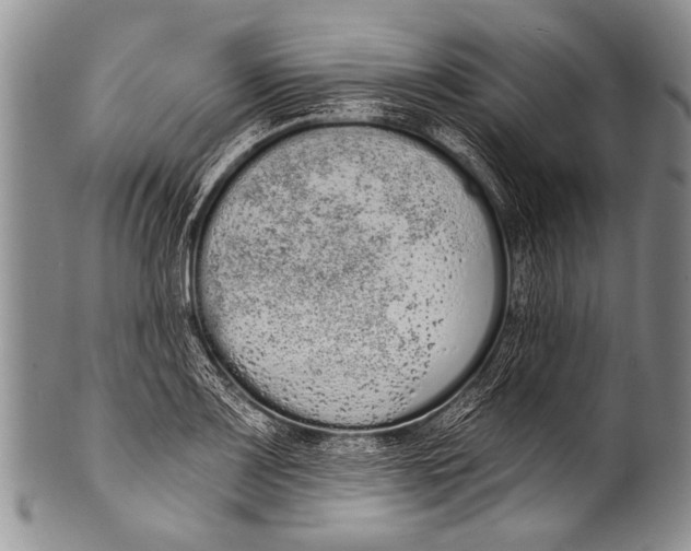 X0000100321083200806261221