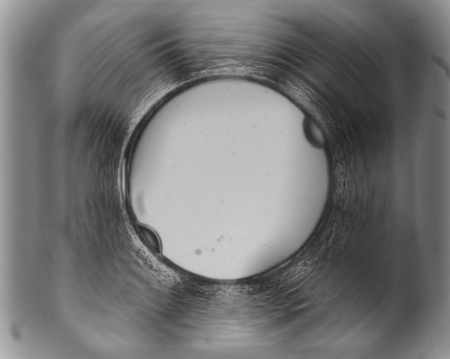 X0000100321084200806261221