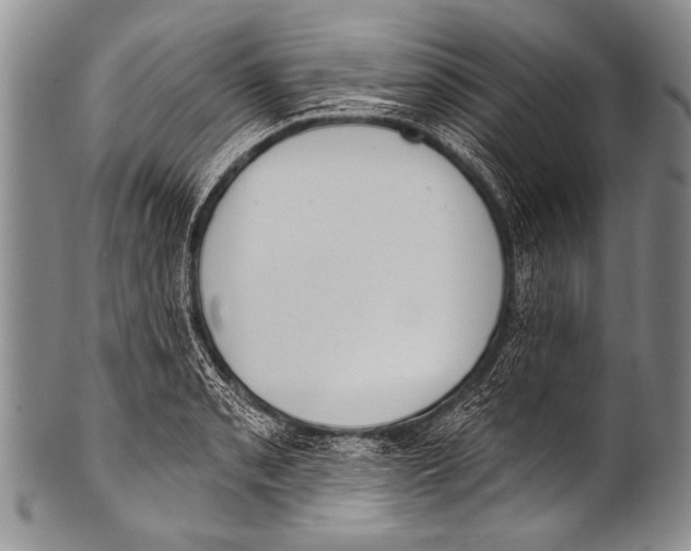 X0000100321085200806261221