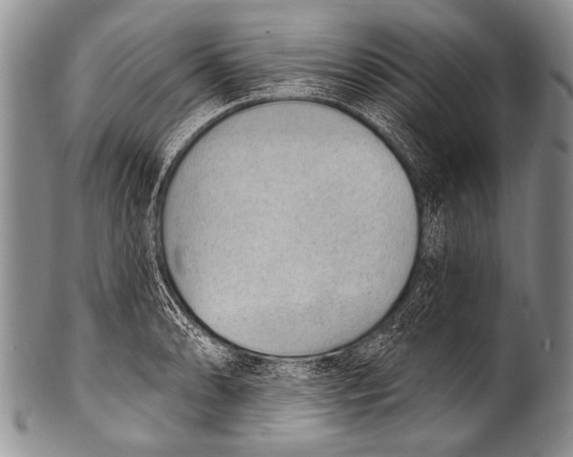 X0000100321086200806261221