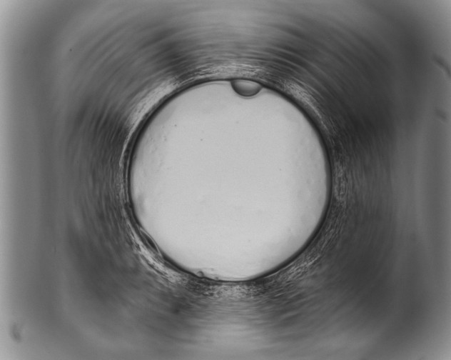 X0000100321087200806261221