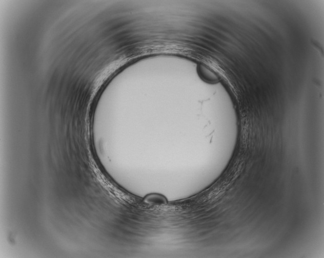 X0000100321088200806261221