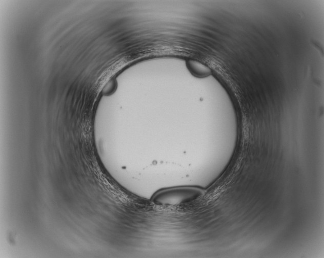 X0000100321089200806261221