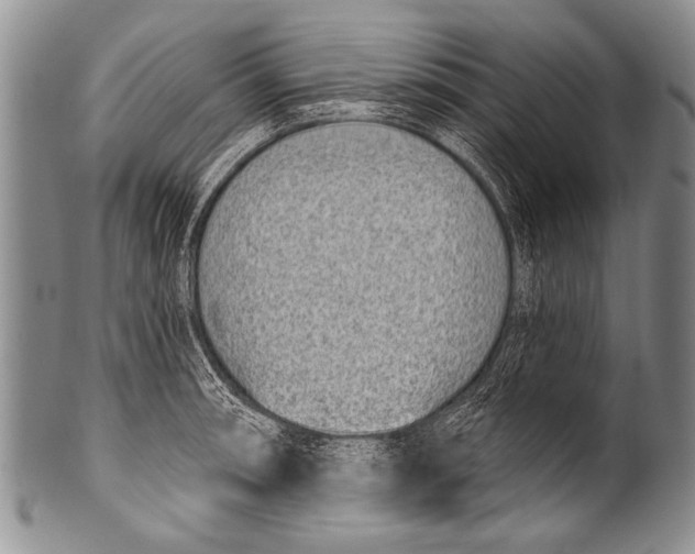 X0000100321090200806261221