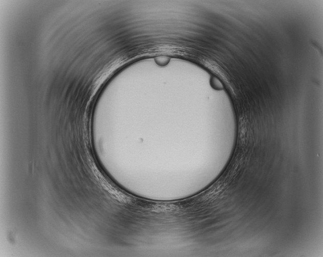 X0000100321091200806261221