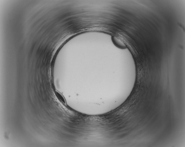 X0000100321092200806261221