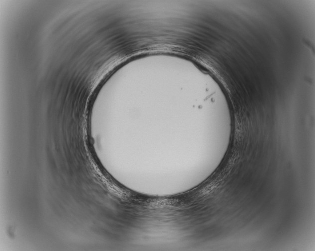 X0000100321093200806261221