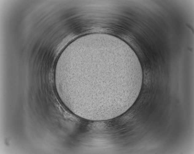 X0000100321094200806261221