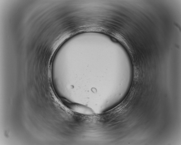 X0000100321095200806261221