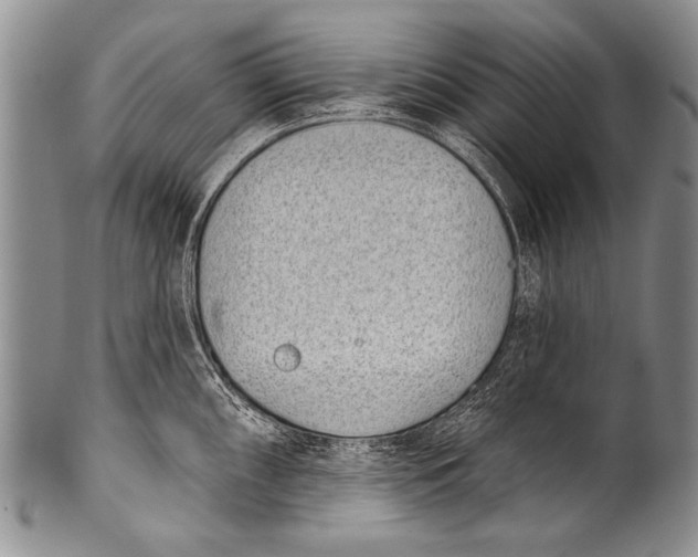 X0000100321098200806261221