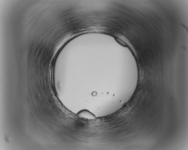 X0000100321099200806261221