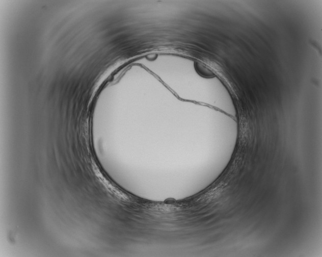 X0000100321100200806261221