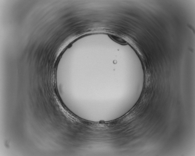 X0000100321101200806261221