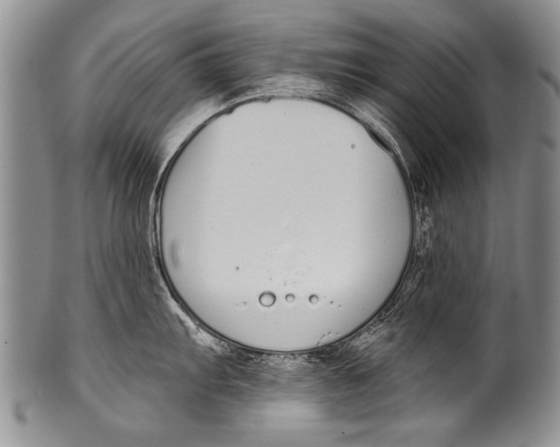 X0000100321103200806261220