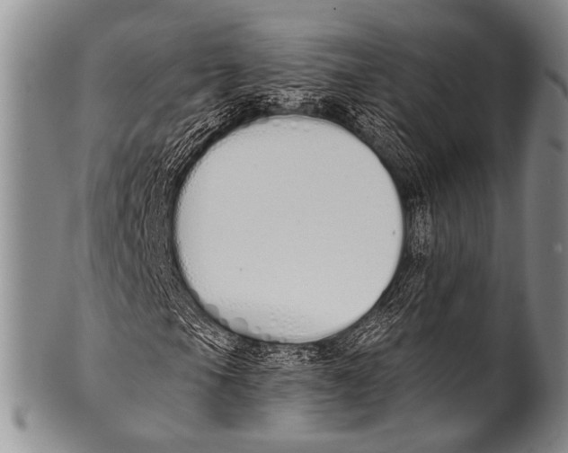 X0000100321105200806261220