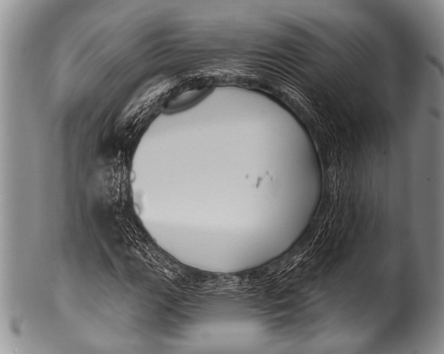 X0000100321111200806261220