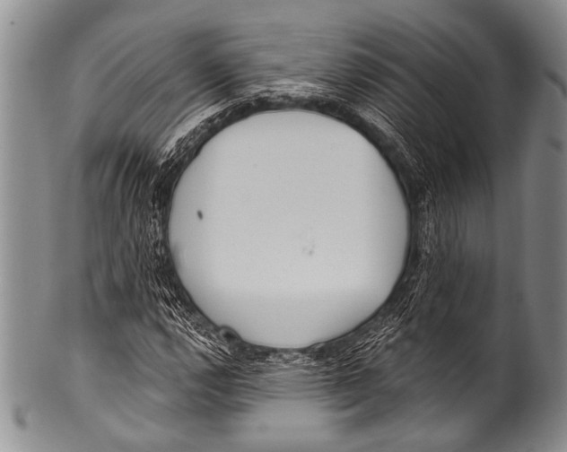 X0000100321112200806261220