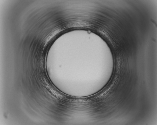 X0000100321114200806261220