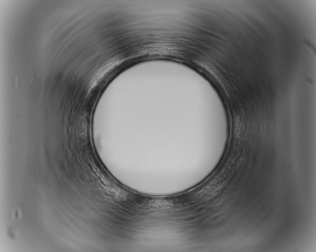 X0000100321115200806261220