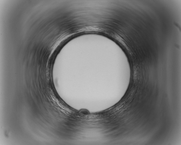 X0000100321116200806261220