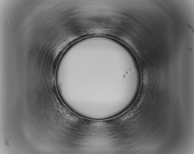 X0000100321117200806261220