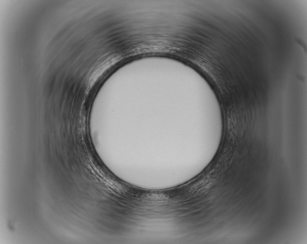 X0000100321119200806261220