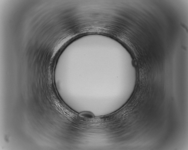 X0000100321120200806261220