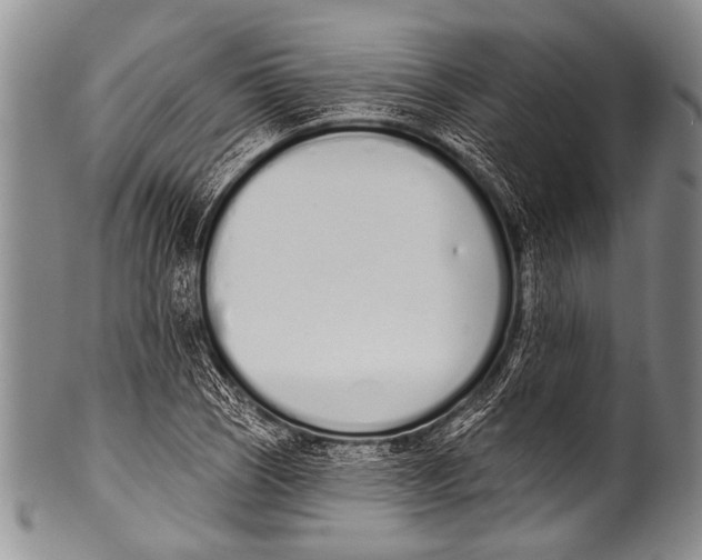 X0000100321121200806261220